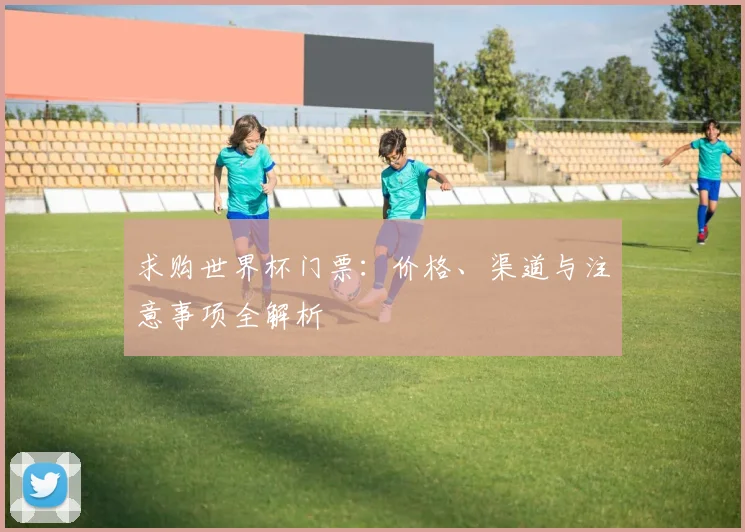 求购世界杯门票：价格、渠道与注意事项全解析