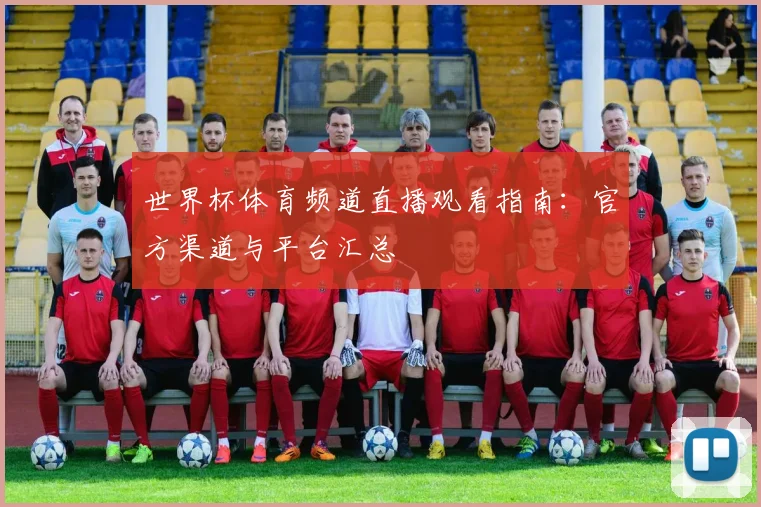 世界杯体育频道直播观看指南：官方渠道与平台汇总