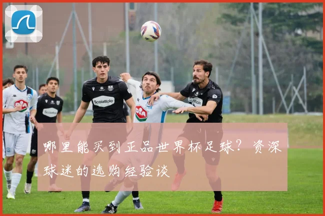 哪里能买到正品世界杯足球？资深球迷的选购经验谈